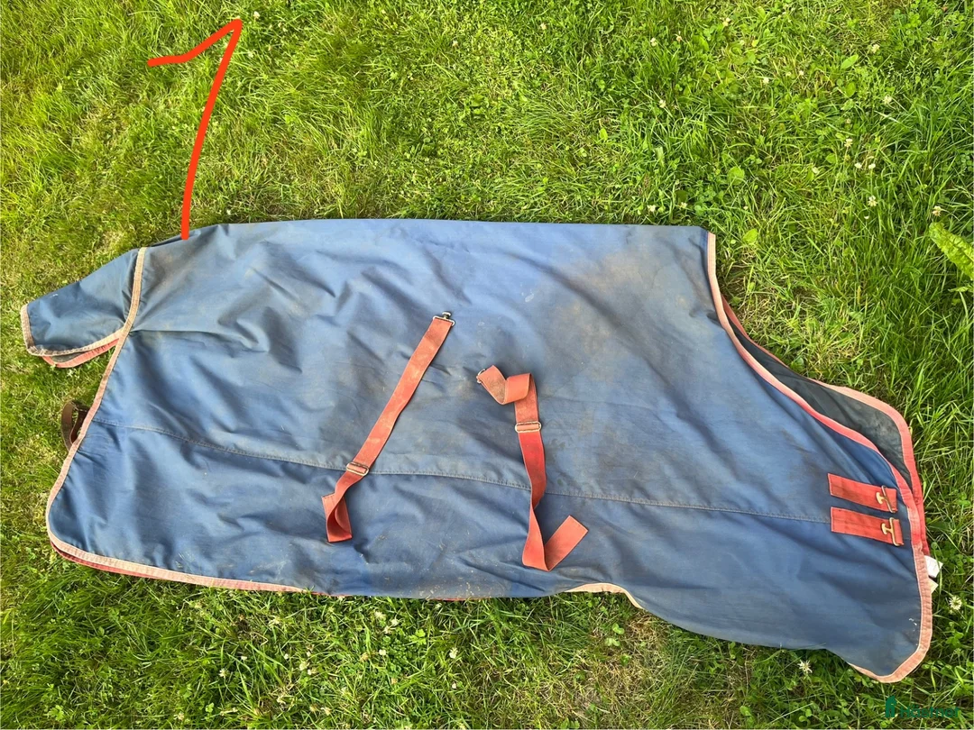 Täcken hästutrustning till salu: Regntäcken Horseware - Annons 9