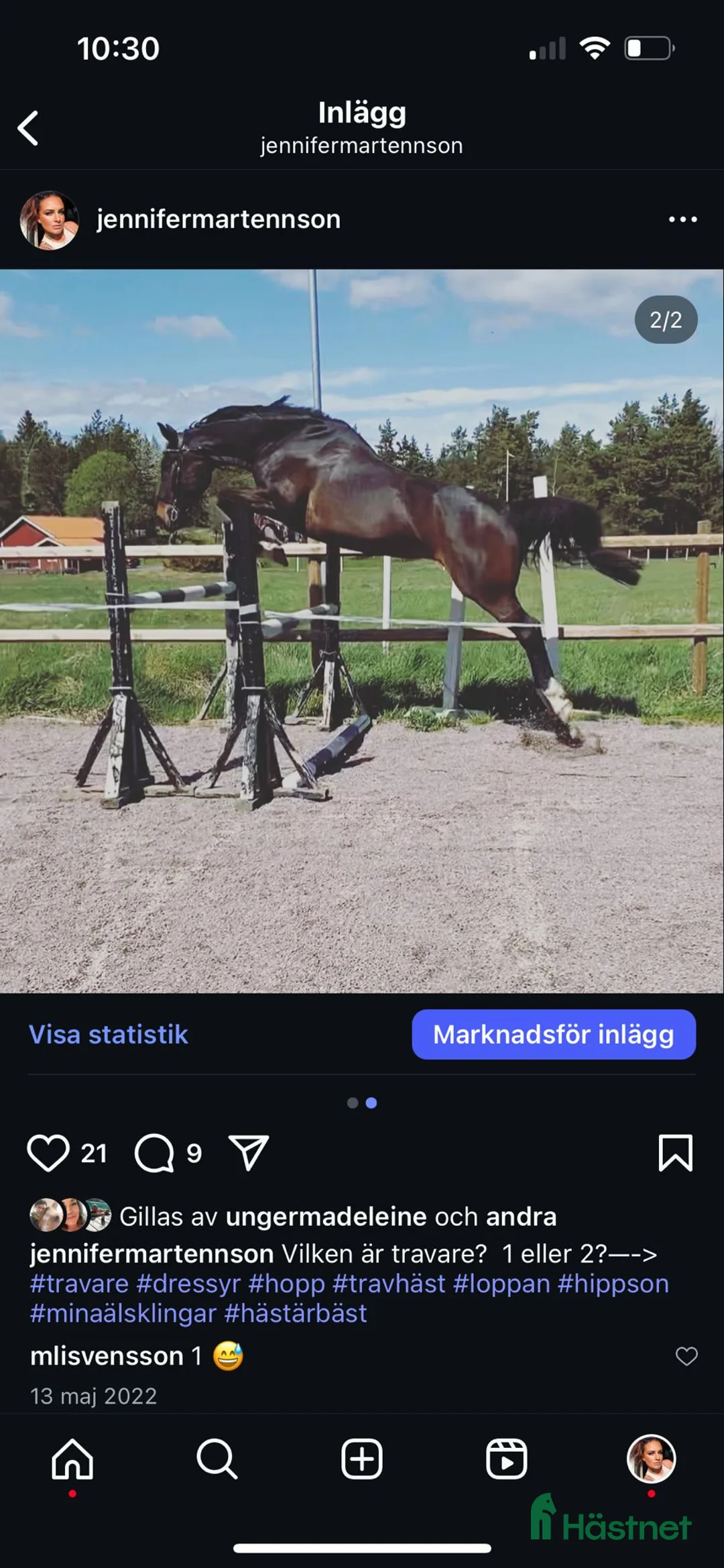 Fälttävlan hästar till salu: Min stjärna  - Annons 10