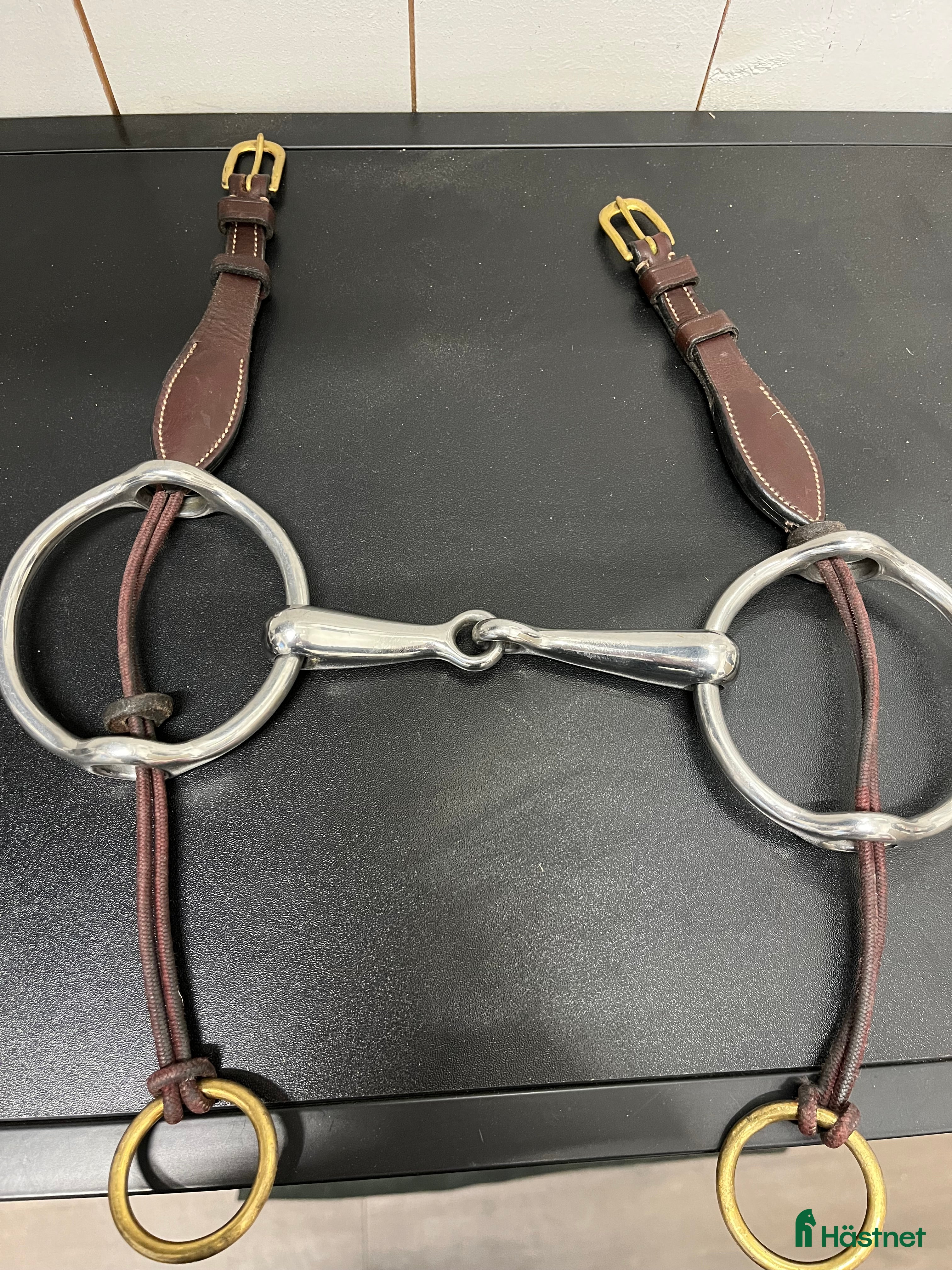 Bett hästutrustning Gagbett från Globus  - Annons 2