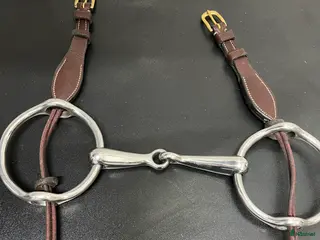 Bett hästutrustning Gagbett från Globus - Annons 2