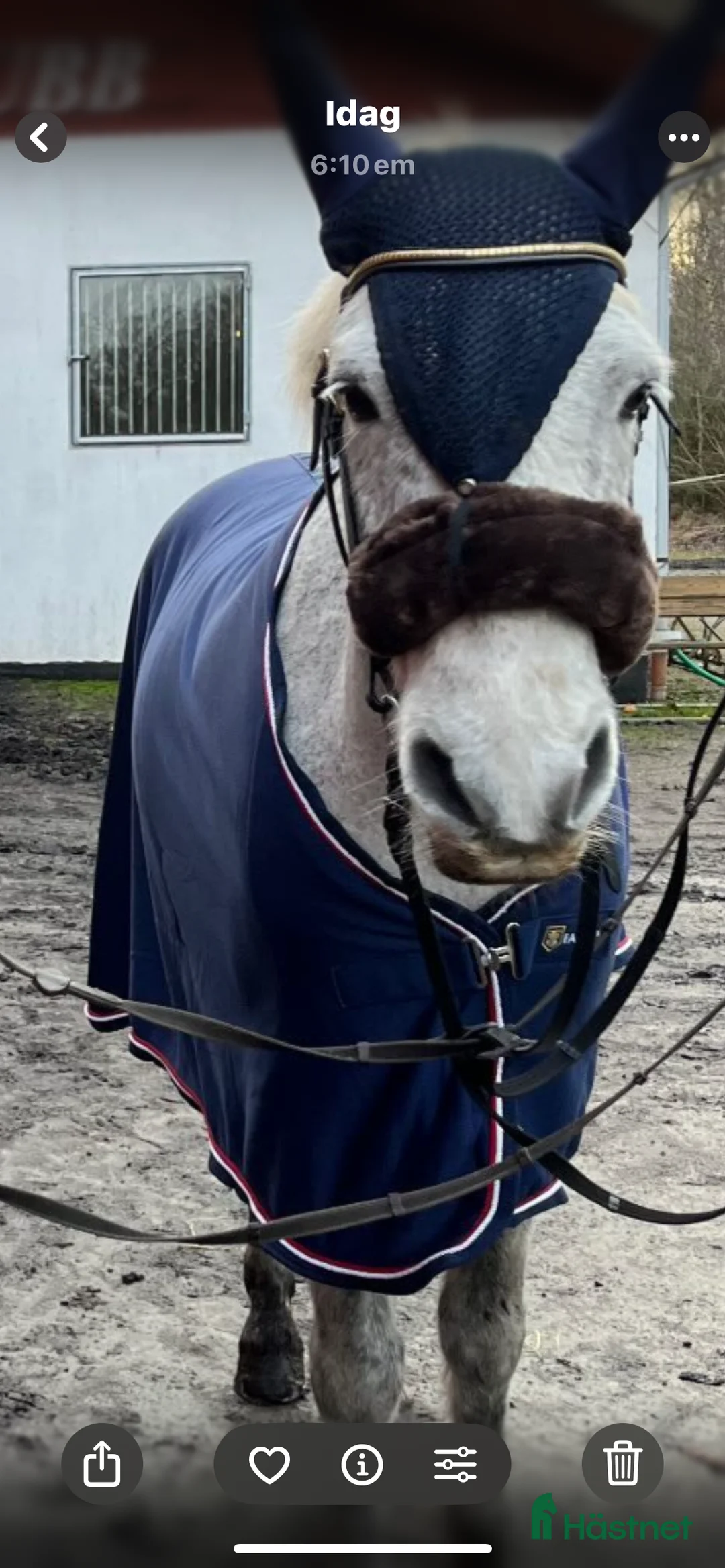 Övrig utrustning övrig utrustning till salu: Fleecetäcke – Fairfield i Näsum - Annons 4