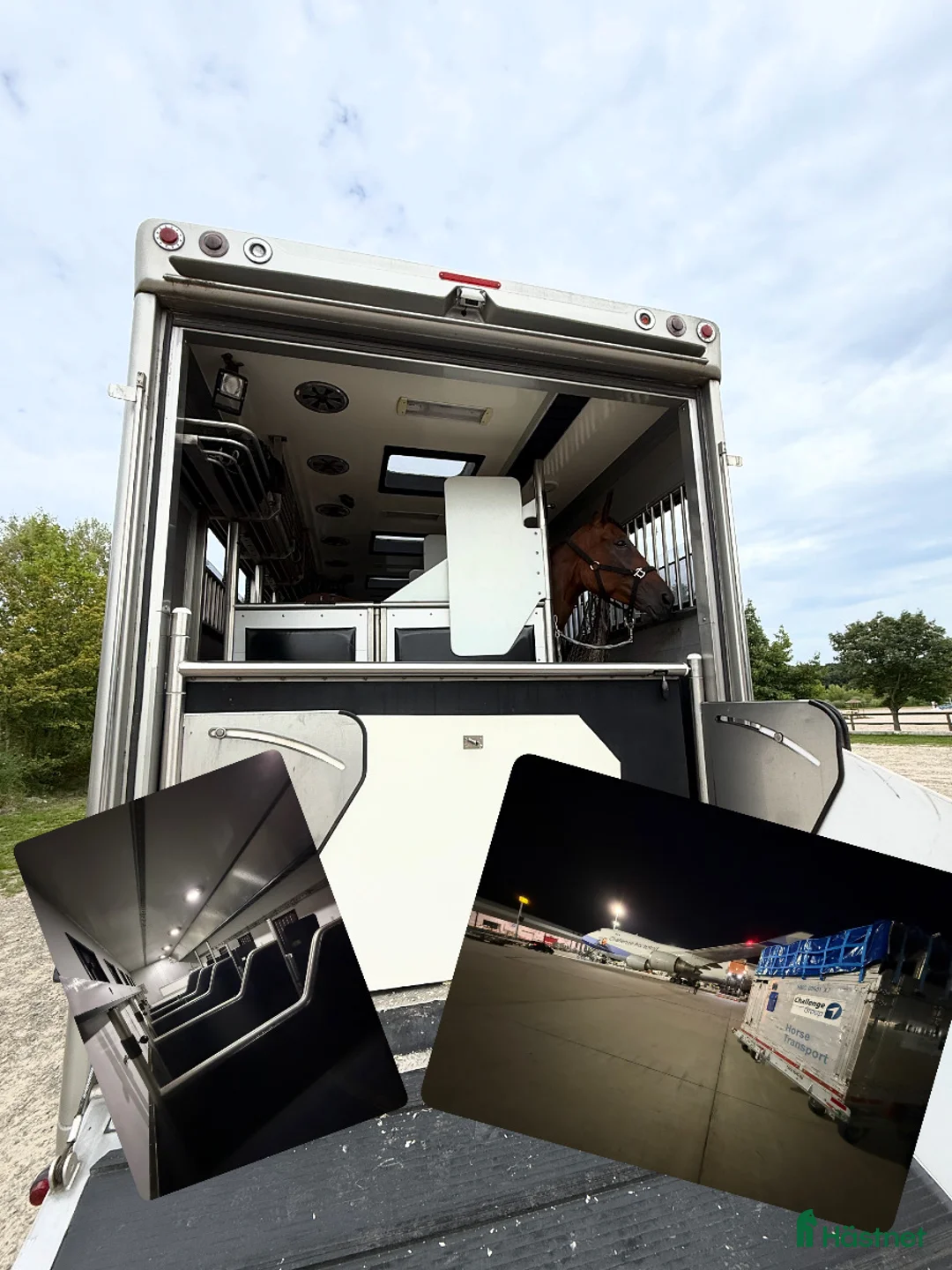  hästservice finnes: Hästtransporter  i Blentarp - Annons 1