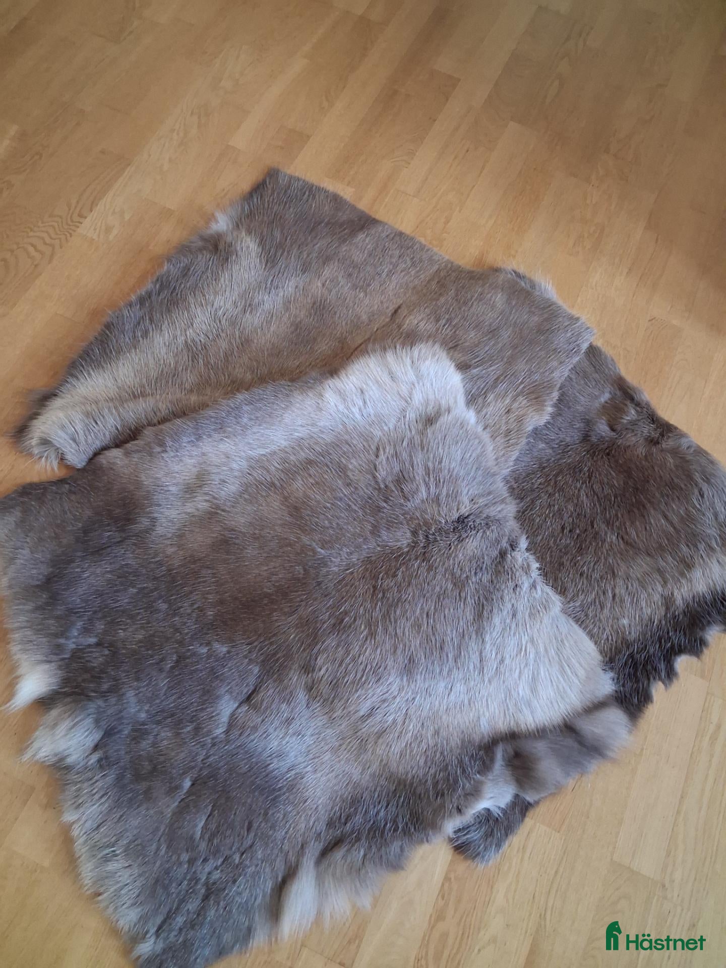 Schabrak & Vojlockar hästutrustning Renskinnspaddar  - Annons 1