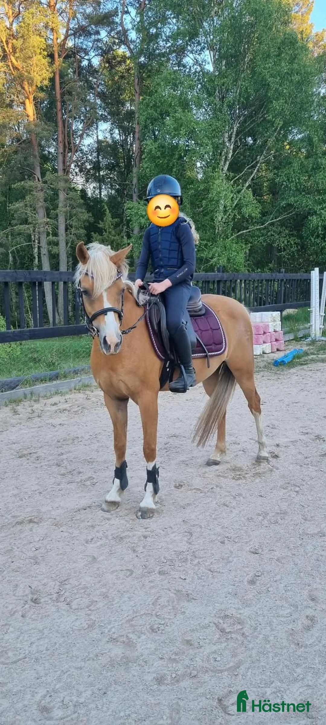  foderhäst finnes: Prinsessan söker ryttare - Annons 2