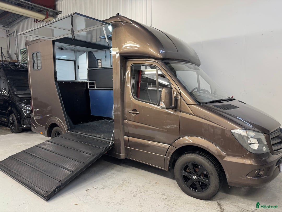 Hästlastbilar  fordon & transport till salu: Nybyggd Hästlastbil på Mercedes Sprinter 316 CDi i Partille - Annons 4
