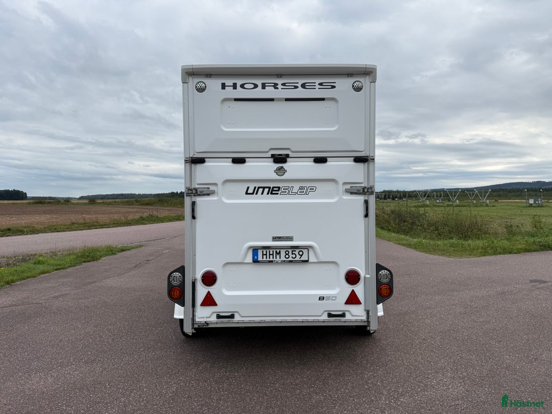 Hästtransporter  fordon & transport till salu: UME B60 -18 i Borlänge - Annons 4