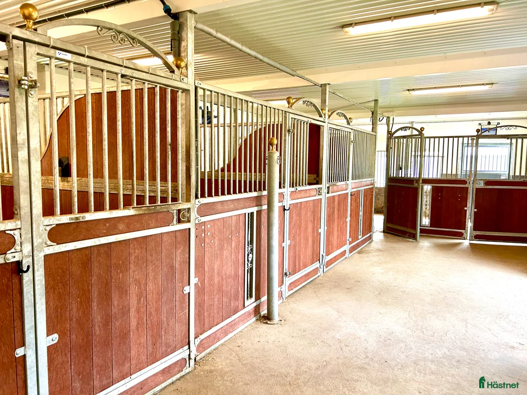  hästgårdar till salu: Perfekt för verksamhet / inackordering - Annons 8
