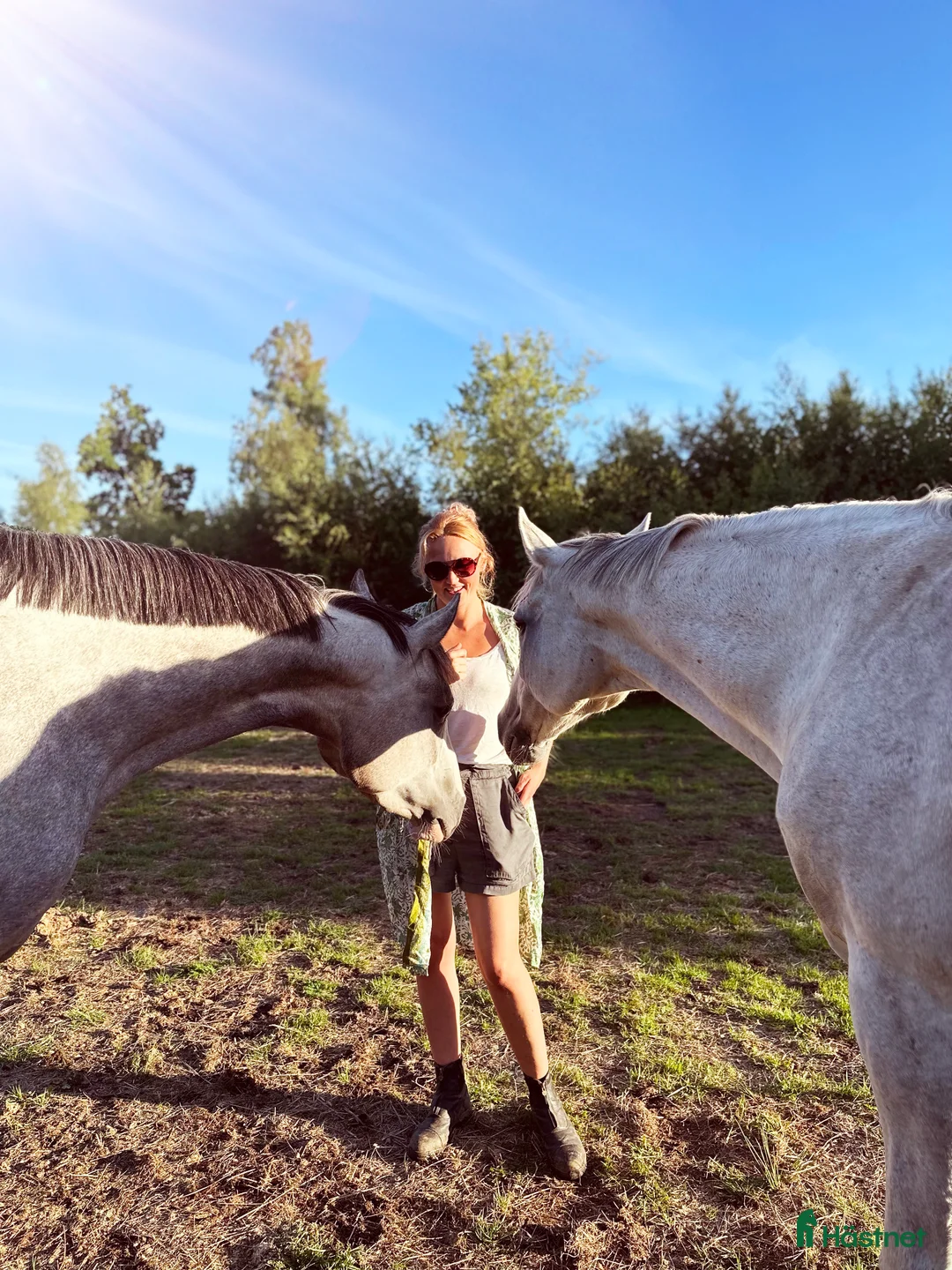  medryttarhäst finnes: Medryttare i Billinge sökes VARDAGAR  - Annons 2