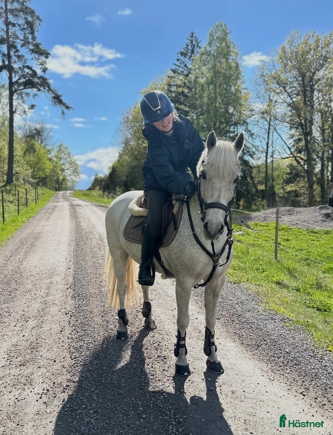 Allround hästar till salu: Snällaste första ponnyn 🌟 - Annons 1