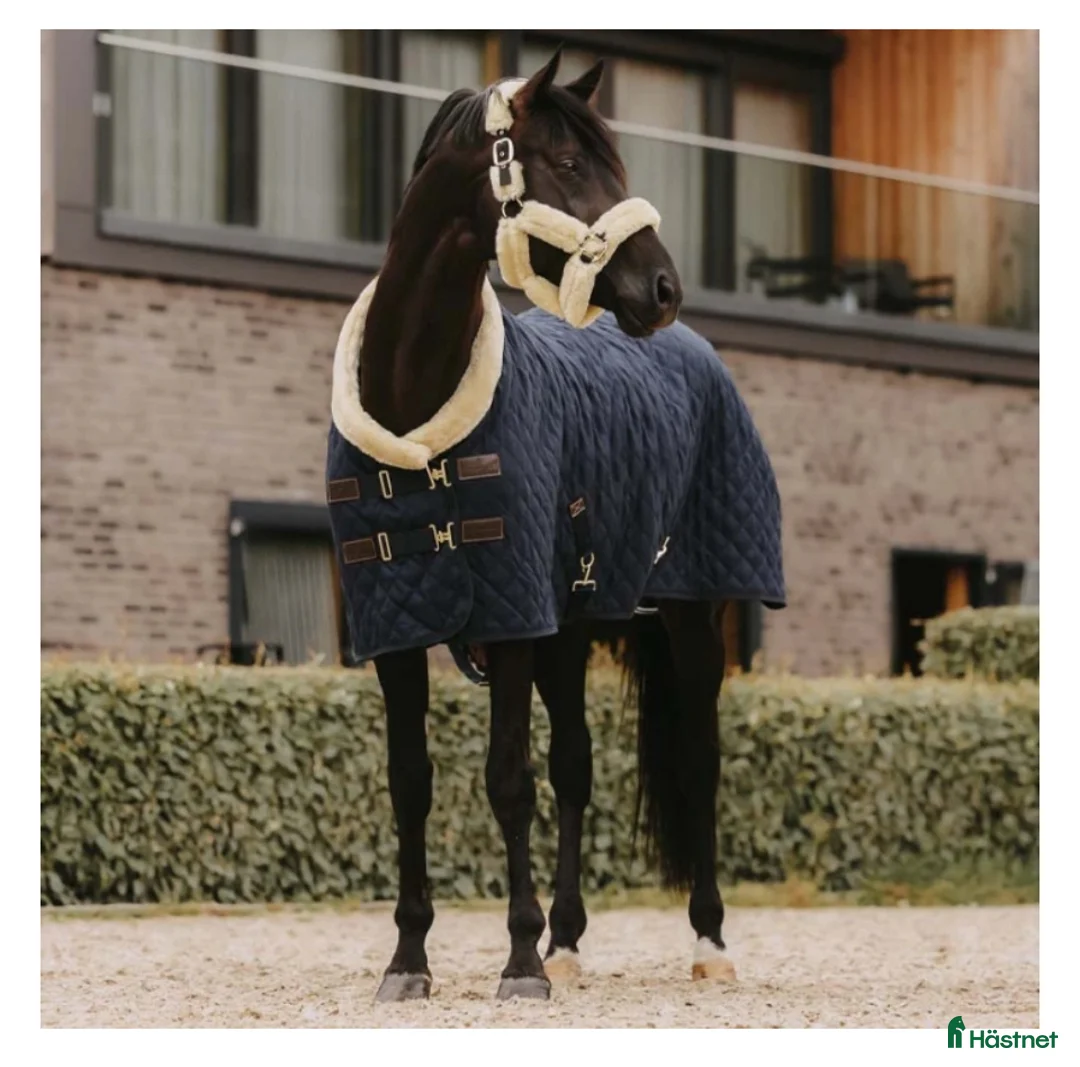 Täcken hästutrustning till salu: Mysigt tävlingstäcke med ludd, Kentucky i Ekerö - Annons 1