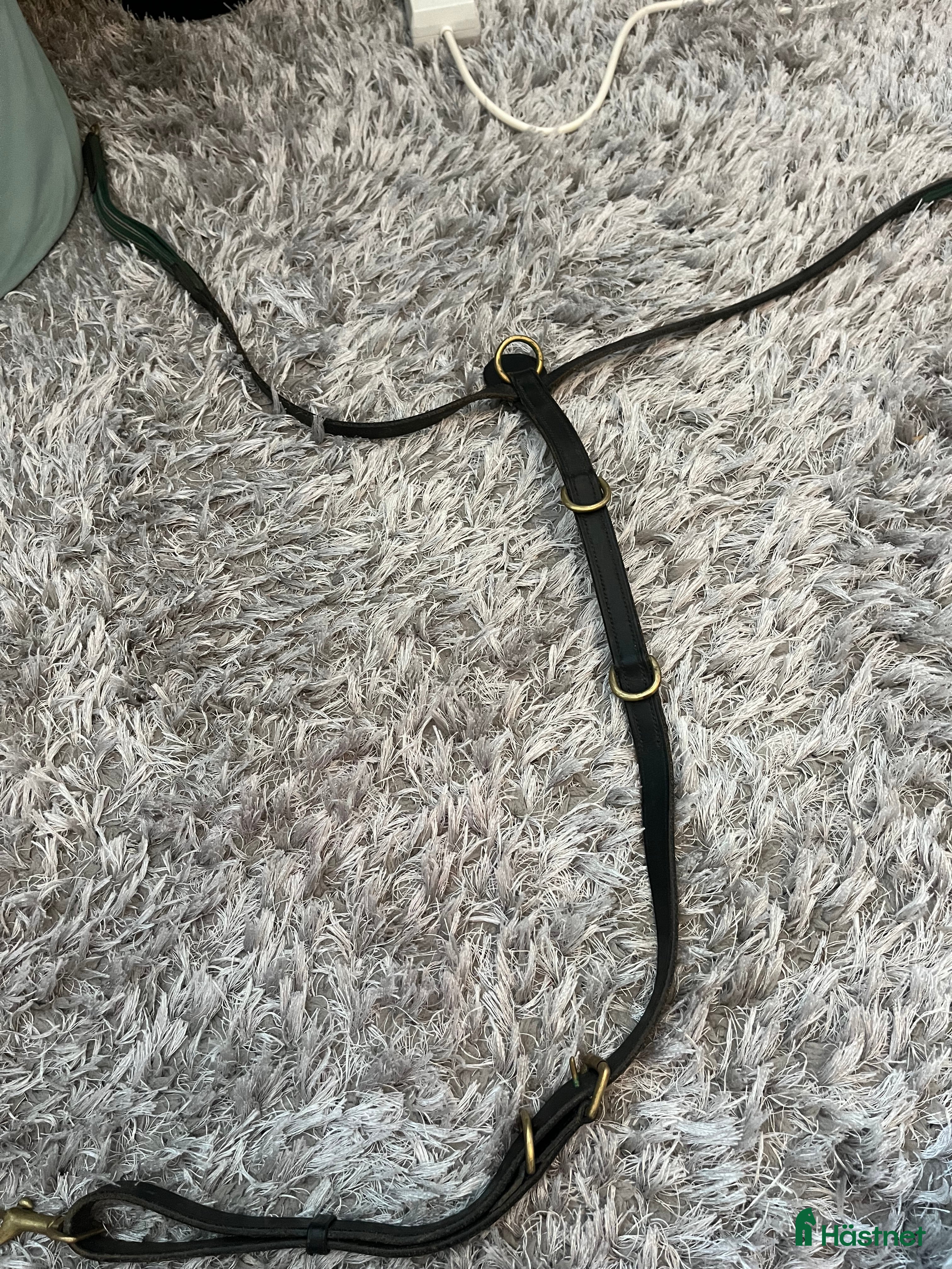 Sadeltillbehör hästutrustning till salu: Förbygel i Hammarö - Annons 13