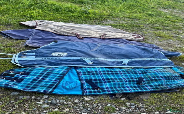 Täcken hästutrustning till salu i Bispgården - Annons 5