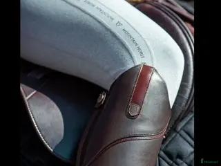 Ridstövlar ryttarutrustning till salu: Bruna ridstövlar - Annons 13