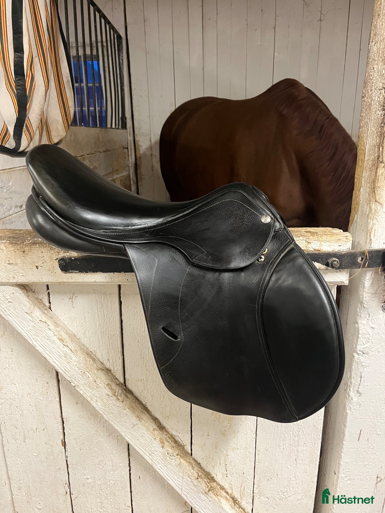 Sadlar hästutrustning Pessoa Rodrigo - Annons 1