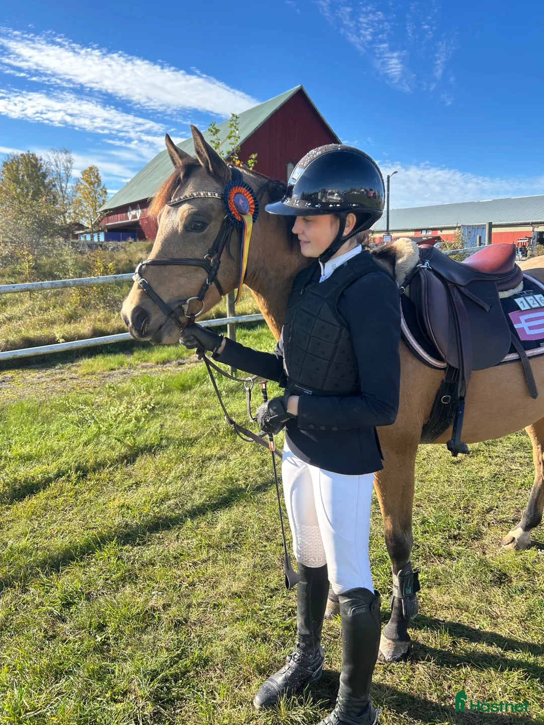 Hoppning hästar till salu: Framtida SM ponny! - Annons 2