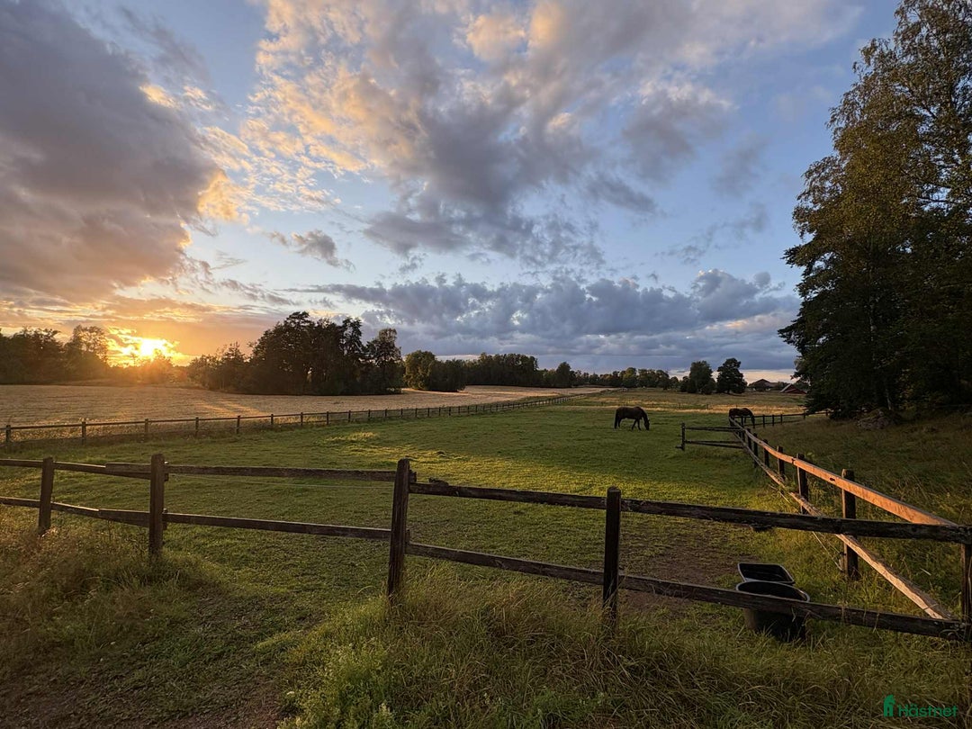  stallplats finnes: Helinackordering Almunge i Almunge - Annons 8