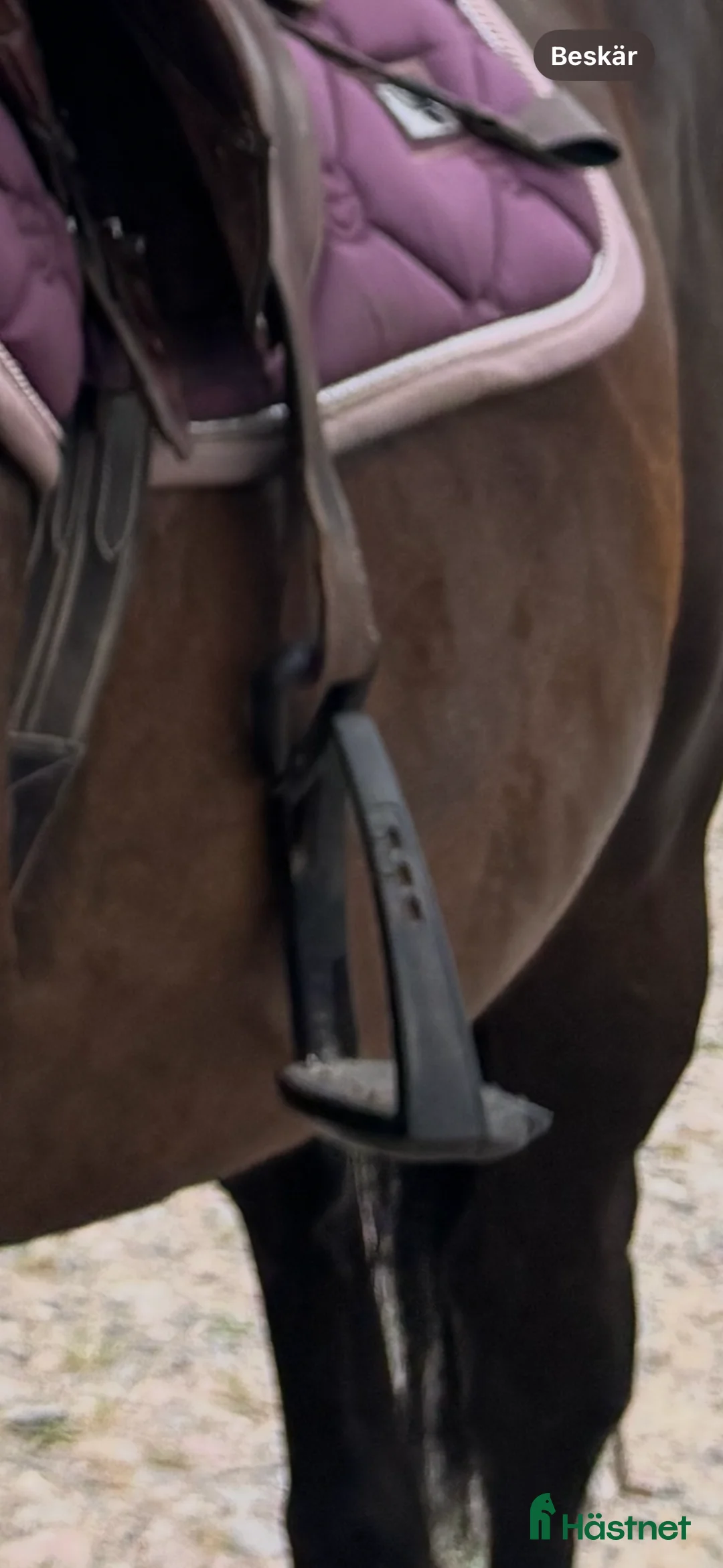 Stigbyglar hästutrustning till salu: Freejump pro i Habo - Annons 1