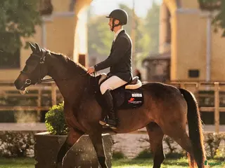 hästar Superfin tävlingshäst! i Ingelstad - Annons 5