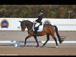 hästar Sveriges bästa 7-åriga dressyrponny i Falun - Annons 9