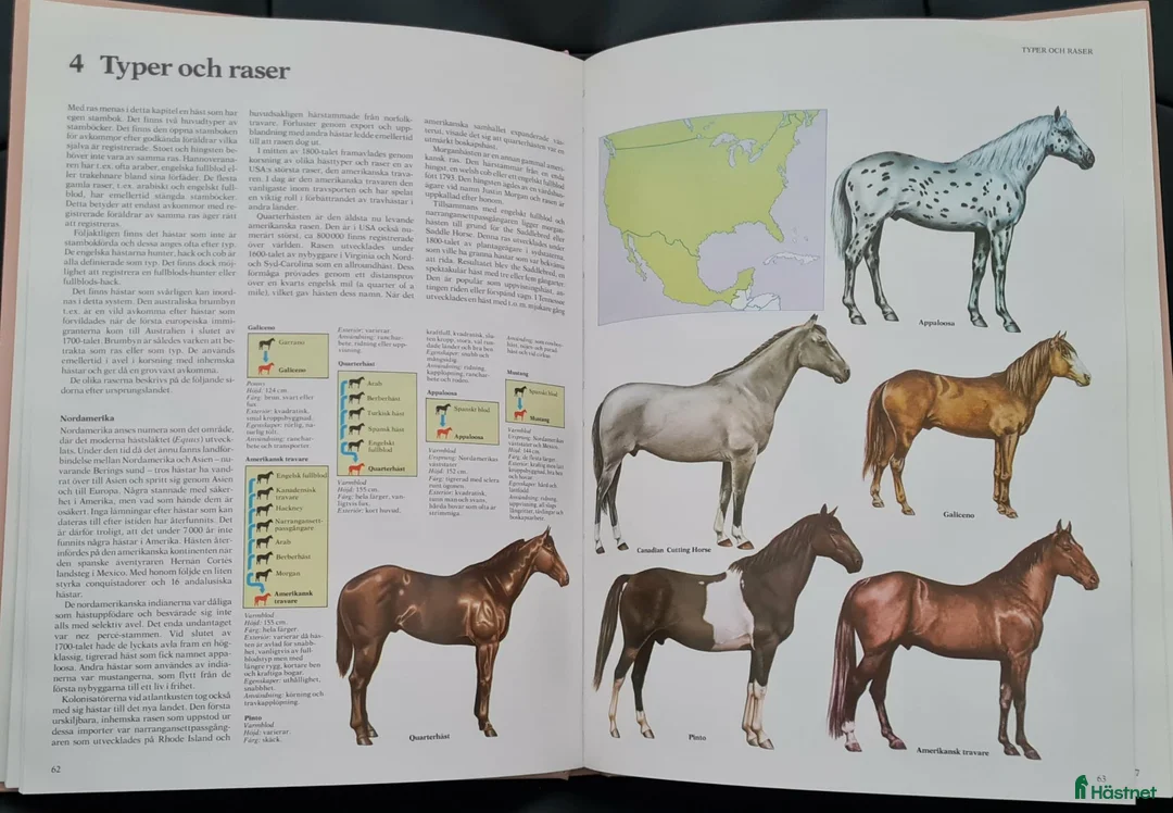 Hästinspirerad heminredning övrig utrustning till salu: Forums stora bok om Hästen - Annons 2
