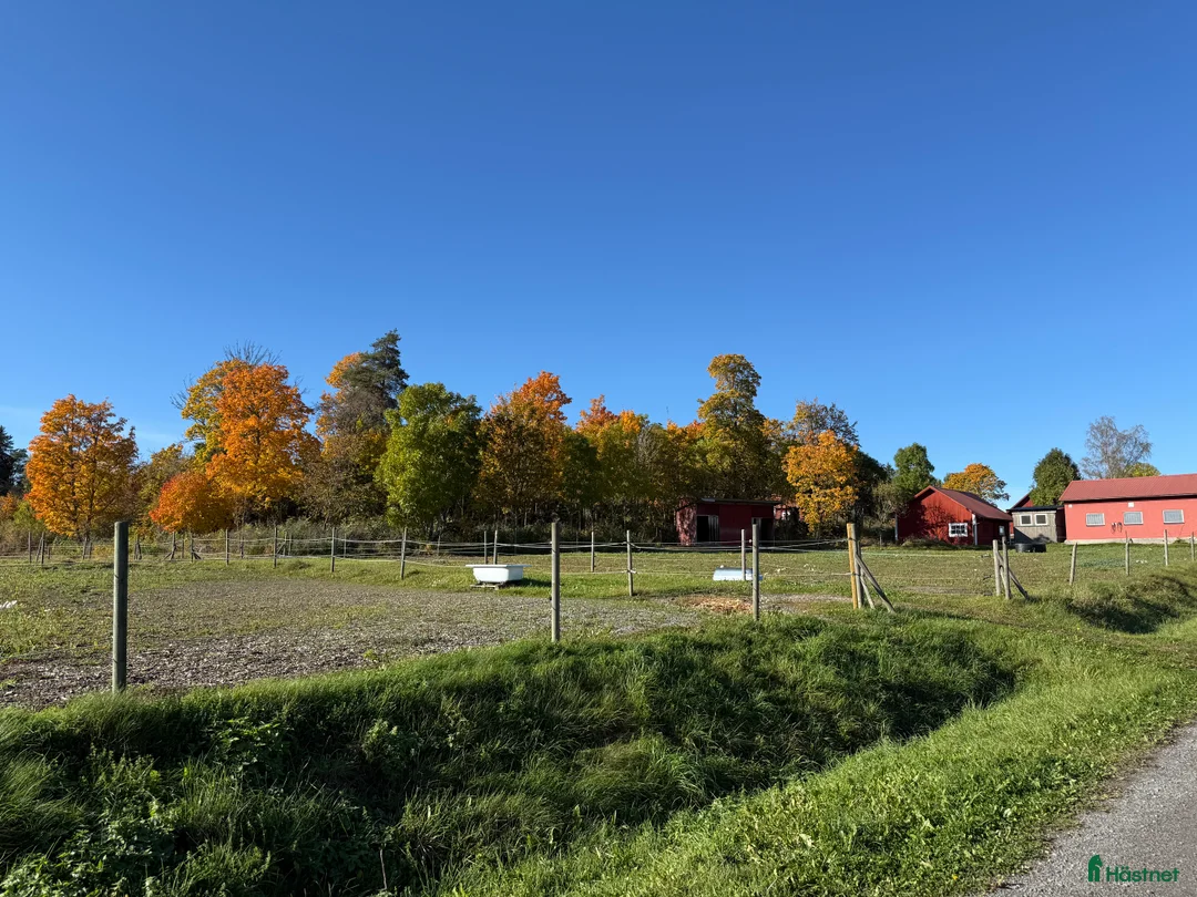  stallplats finnes: Boxplatser finns i litet stall 6 km från Knivsta i Knivsta - Annons 2