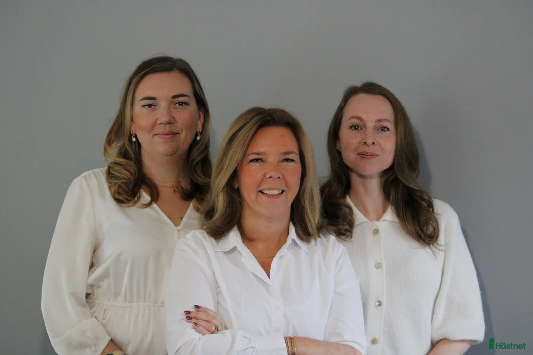  hästservice finnes: Ekonomisk hjälp för stall- och hästverksamheter i Uppsala - Annons 1