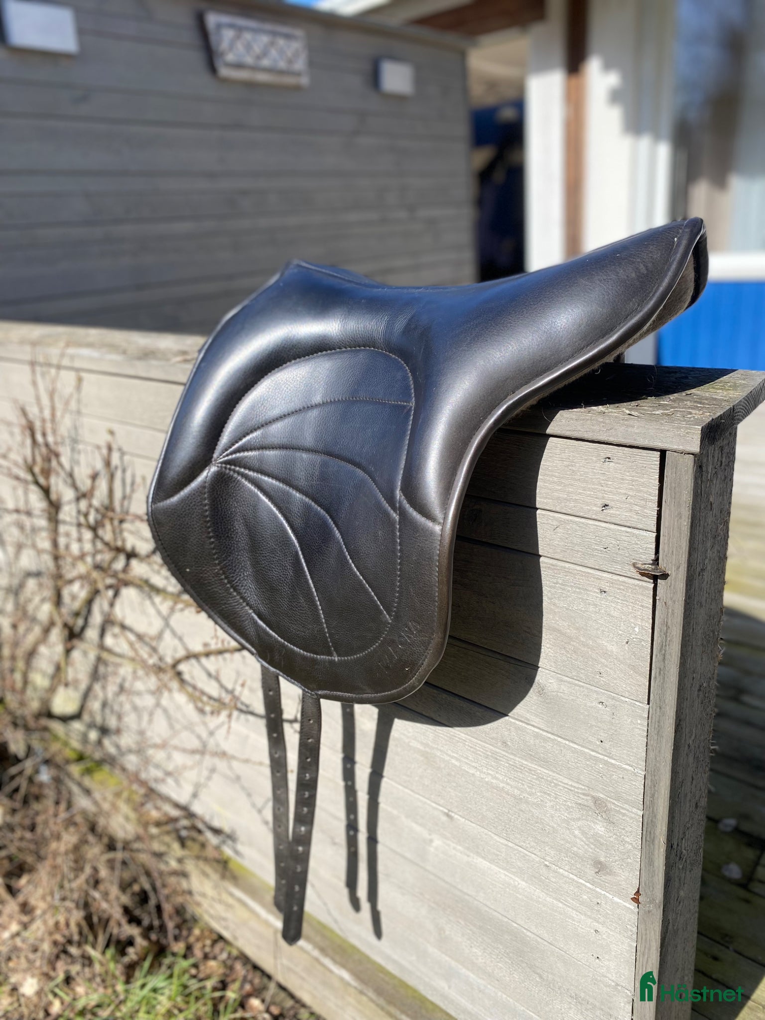 Övrig Hästutrustning hästutrustning La bona II - Annons 1