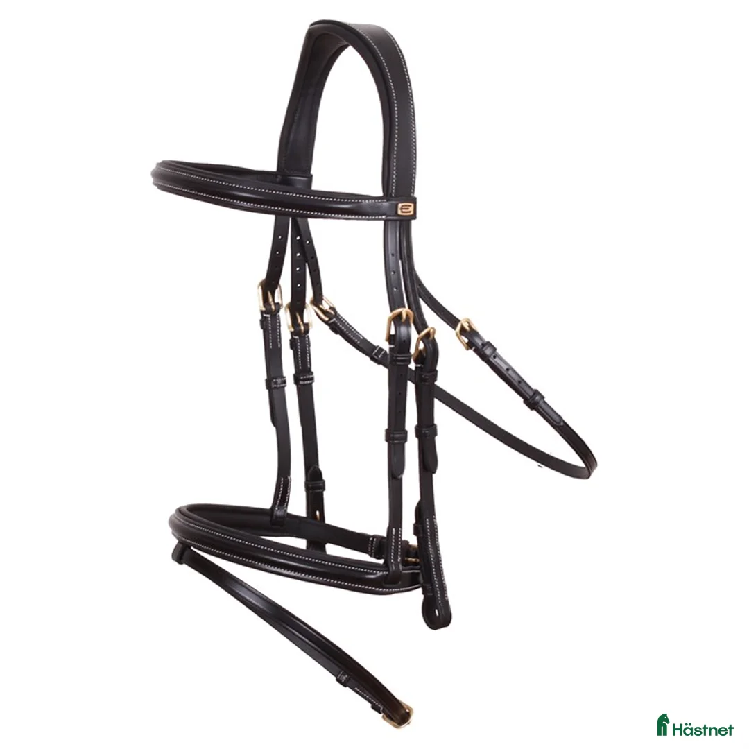 Träns hästutrustning till salu: Equalityline träns - Annons 1