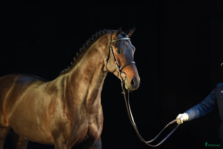 Galleribild {{count}}