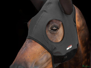 Övrig Hästutrustning hästutrustning till salu: Ny fenwick huva i Vara - Annons 1