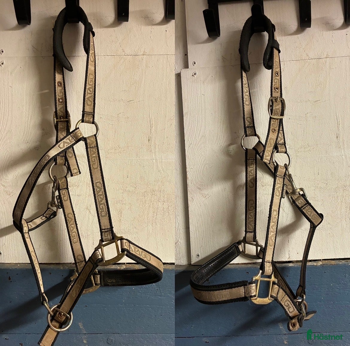 Övrig Hästutrustning hästutrustning Catago guldig grimma - Annons 4