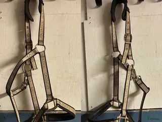 Övrig Hästutrustning hästutrustning Catago guldig grimma - Annons 4