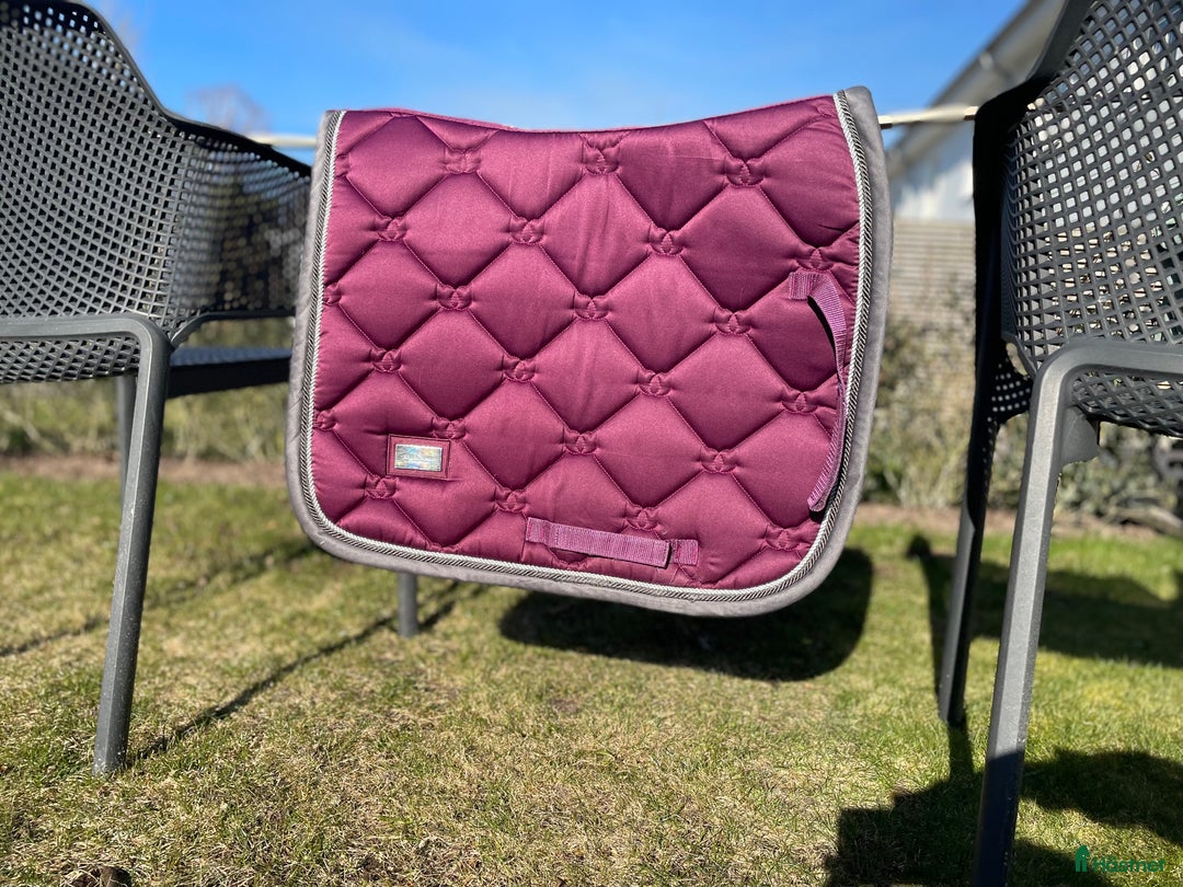 Schabrak & Vojlockar hästutrustning till salu: Fint es🫶🏻 i Halmstad - Annons 1