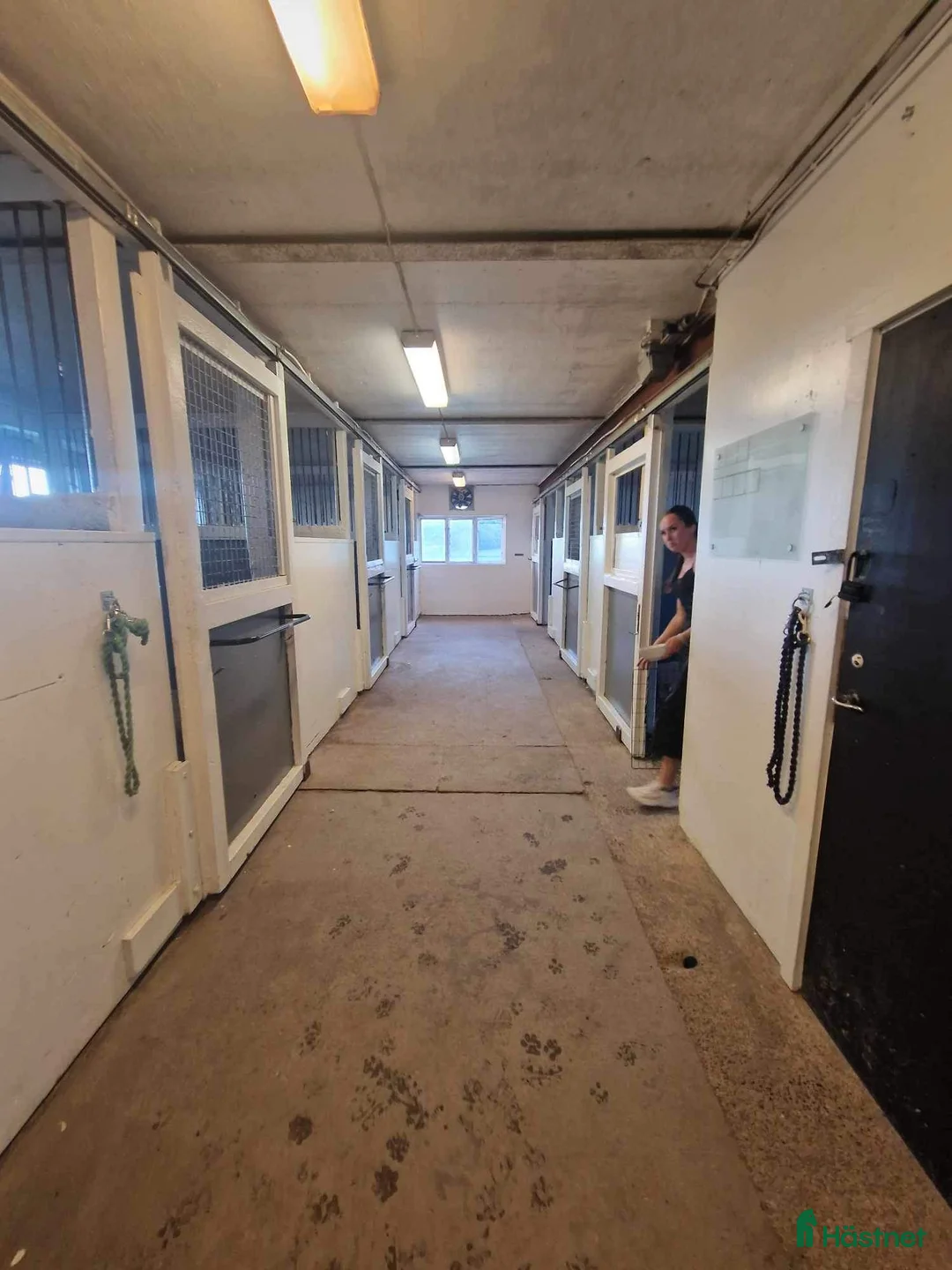  stallplats finnes: Mysig Lösdrift i lindome  - Annons 8