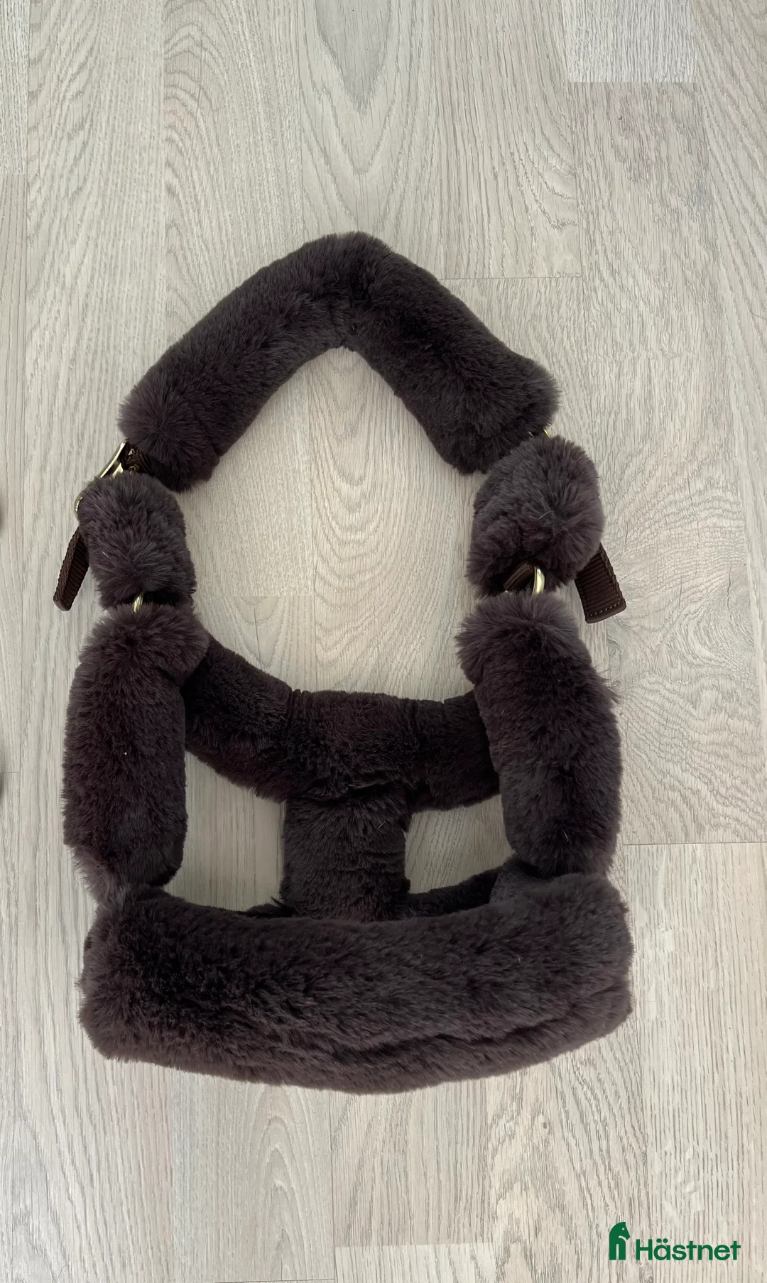 Schabrak & Vojlockar hästutrustning till salu: Utrustning  - Annons 3