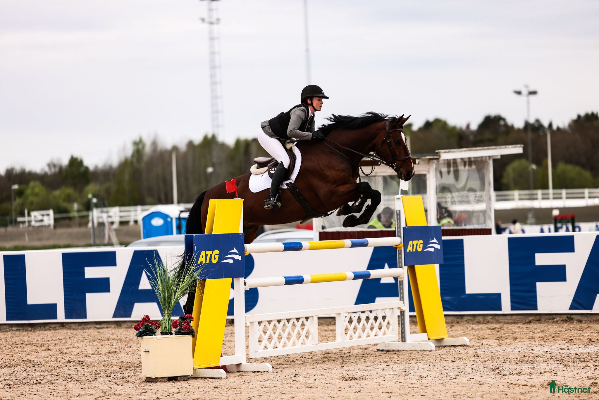  hästservice Utbildning, tävling och försäljning - Annons 17