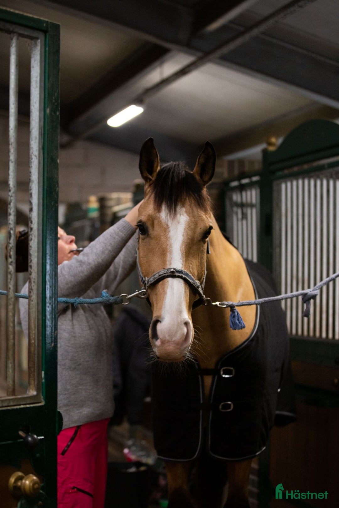  hästjobb finnes: Jobb på en av Norges største rideskoler🐎🇳🇴 - Annons 3