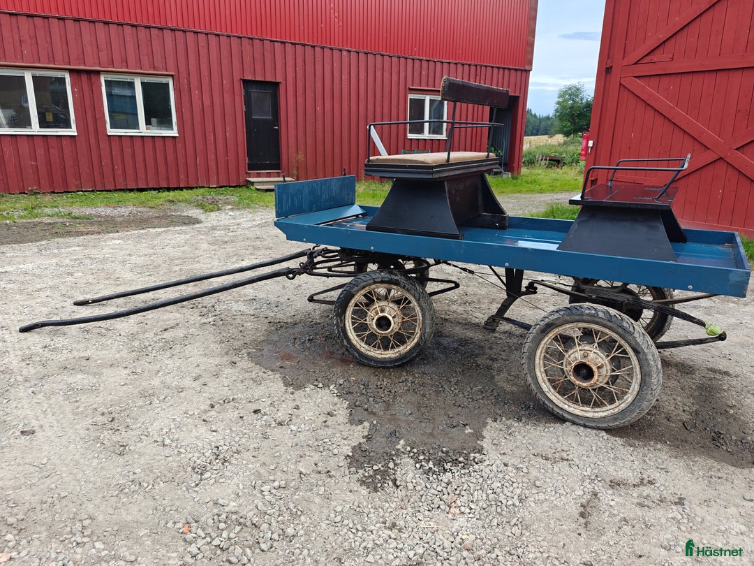 Körvagnar körning till salu: Fyrhjulsvagn  i Vänersborg - Annons 4