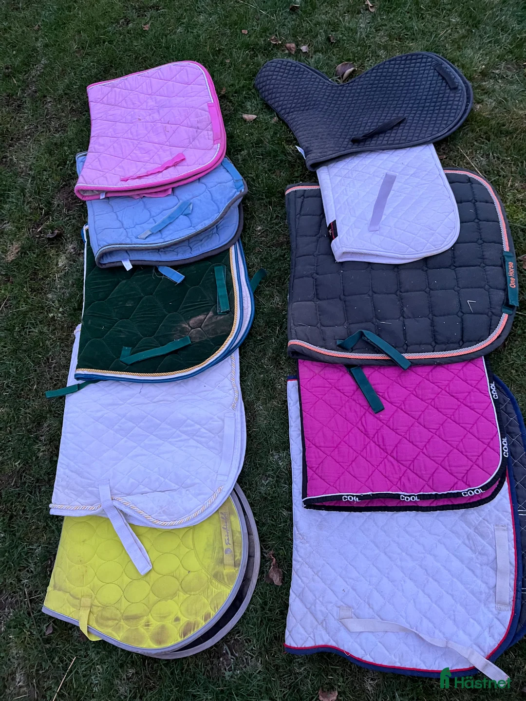 Schabrak & Vojlockar hästutrustning till salu: Paket med 10 schabrak i Västra Ämtervik - Annons 2