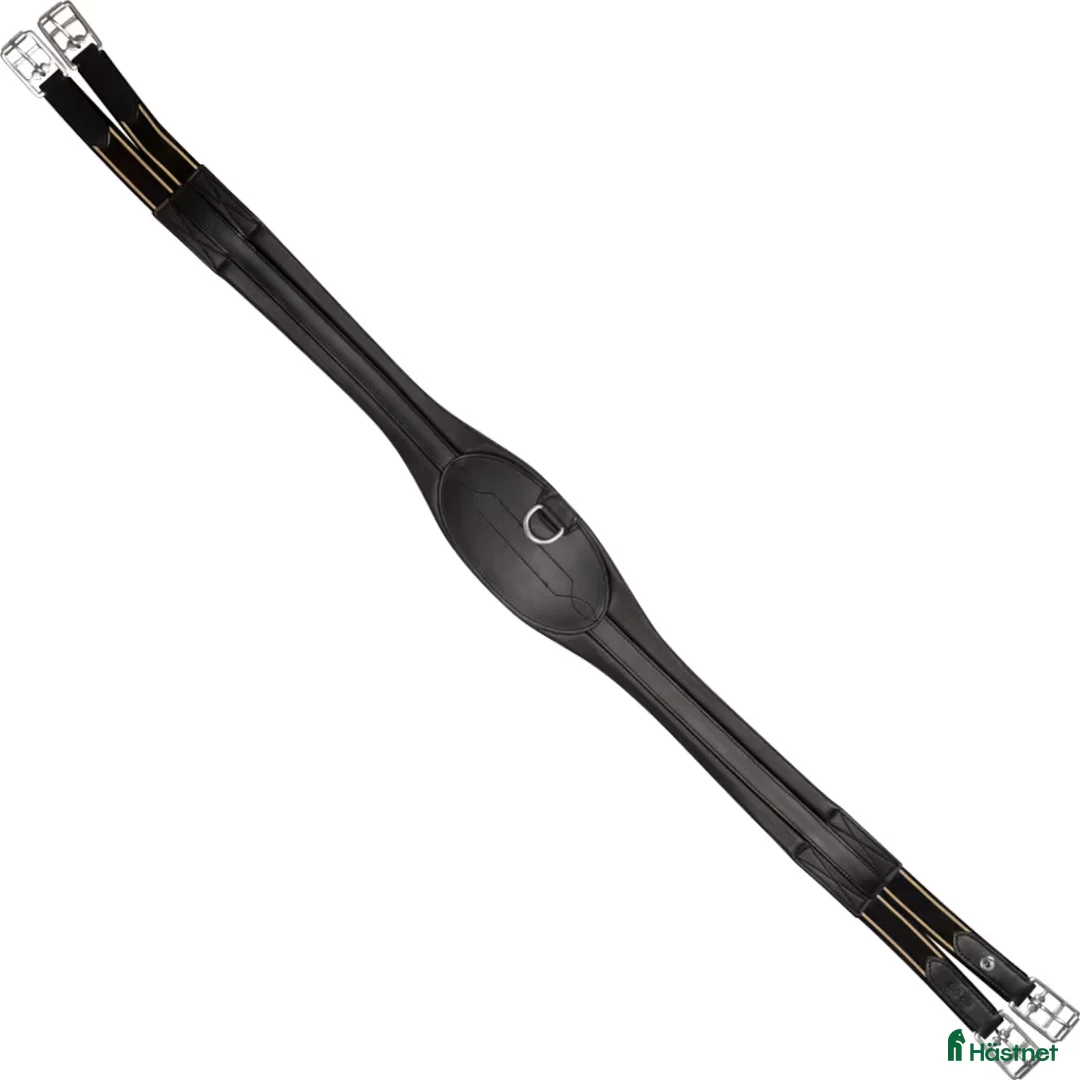 Sadeltillbehör hästutrustning till salu: Sadelgjord 110 i Lund - Annons 1