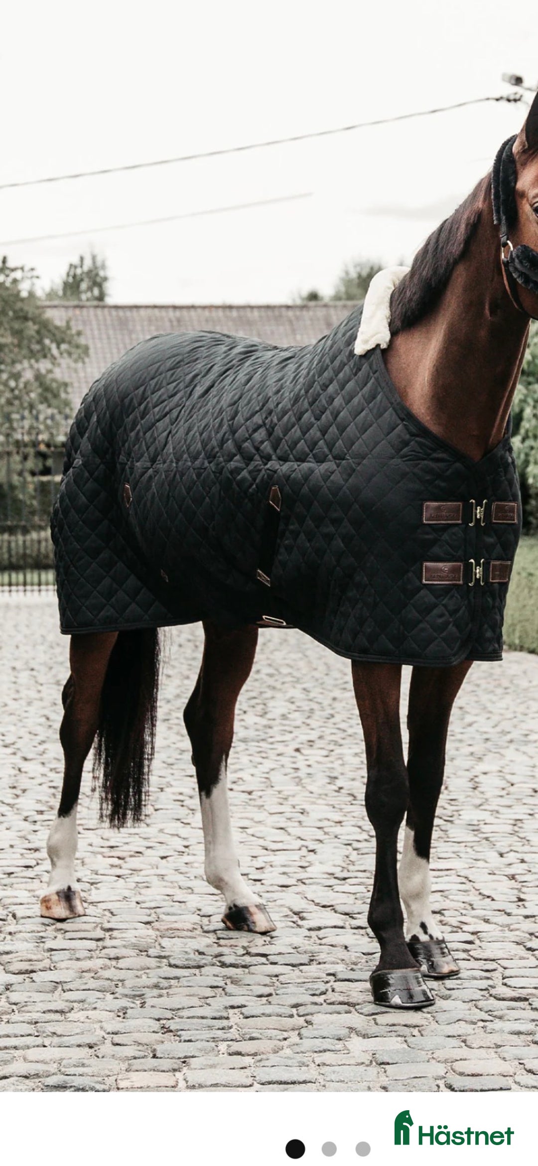 Täcken hästutrustning till salu: Kentucky stalltäcke i Väderstad - Annons 1