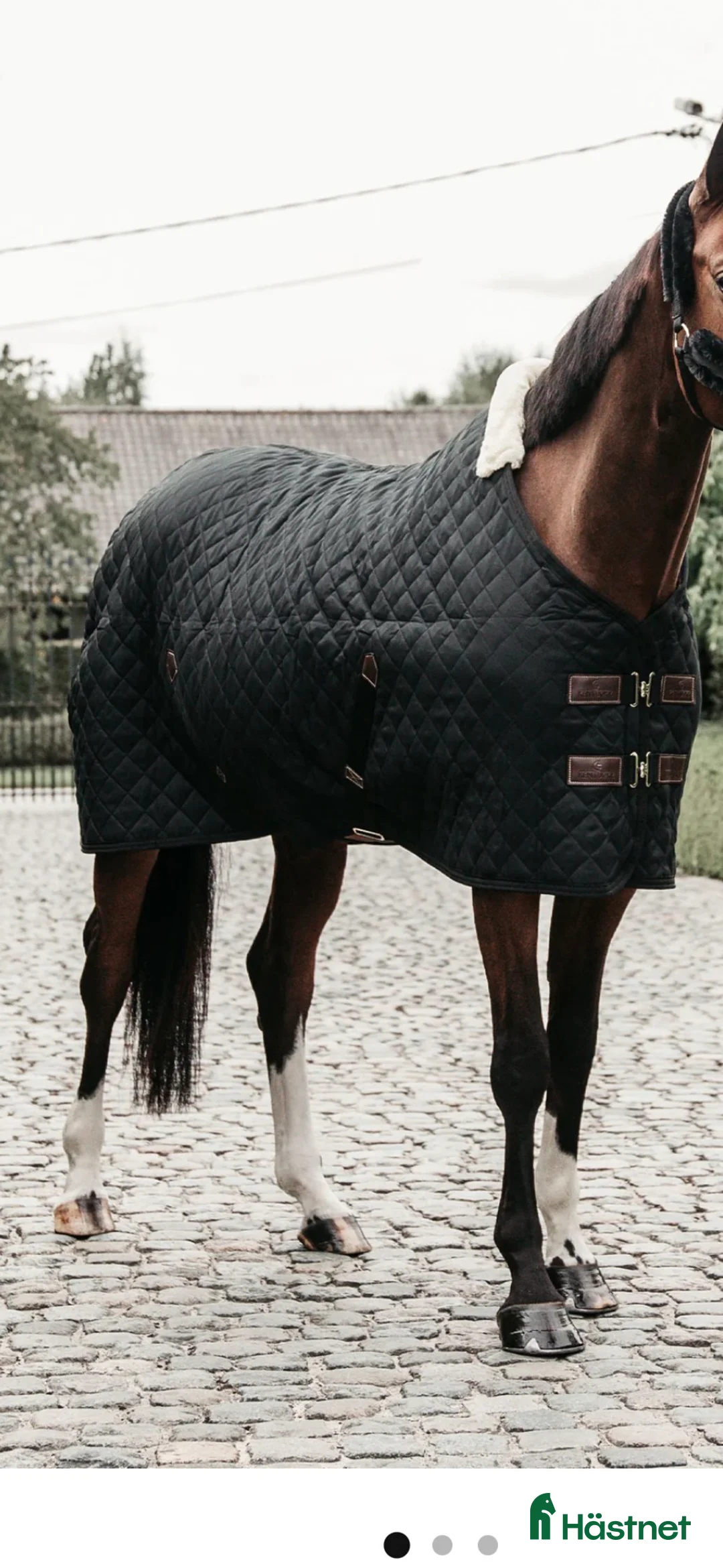 Täcken hästutrustning till salu: Kentucky stalltäcke i Väderstad - Annons 1