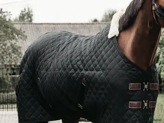 Täcken hästutrustning Kentucky stalltäcke i Väderstad - Annons 12