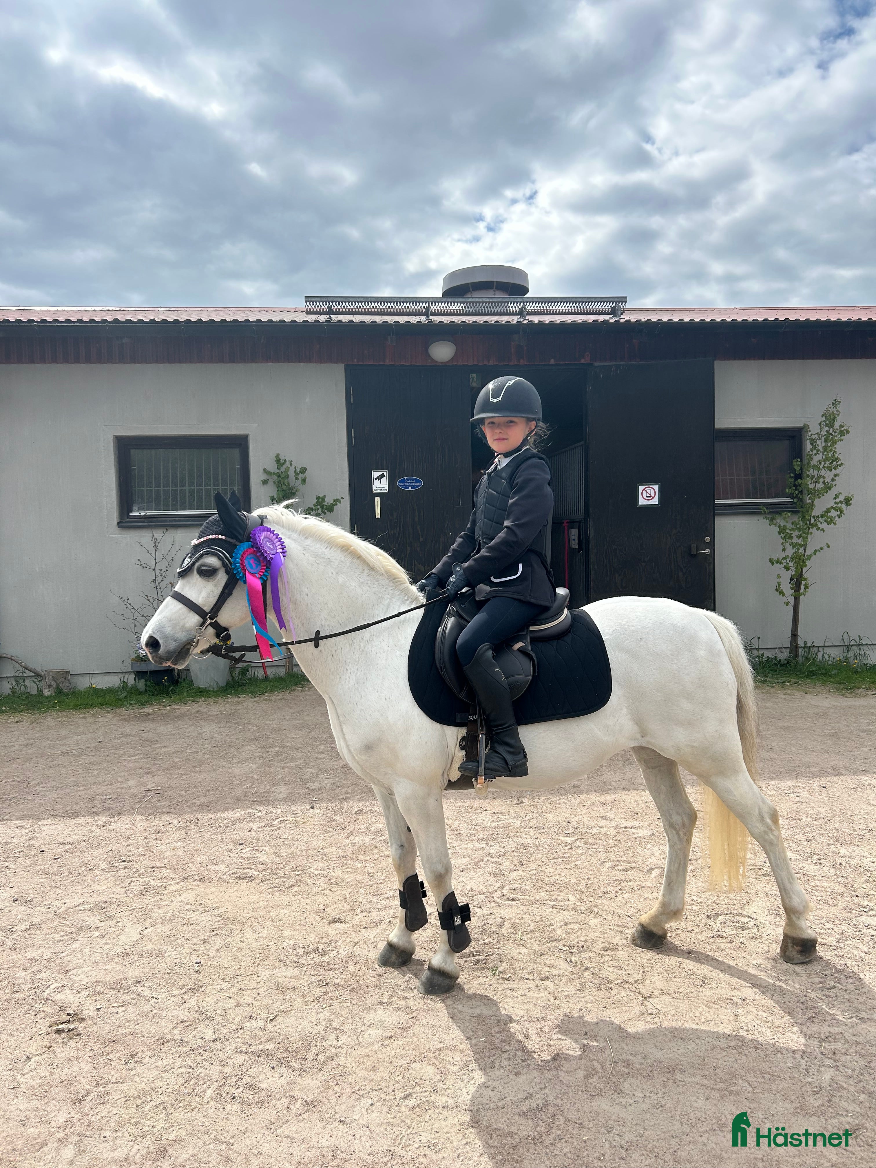  hästar Finaste B-ponnyn🦄 i Lysekil - Annons 9