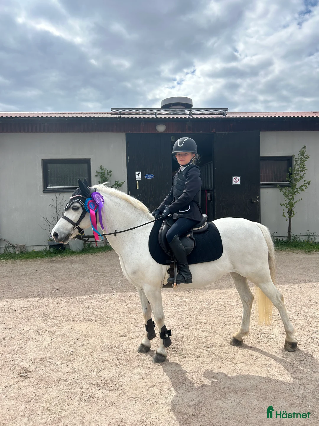 Allround hästar till salu: Finaste B-ponnyn🦄 i Lysekil - Annons 1