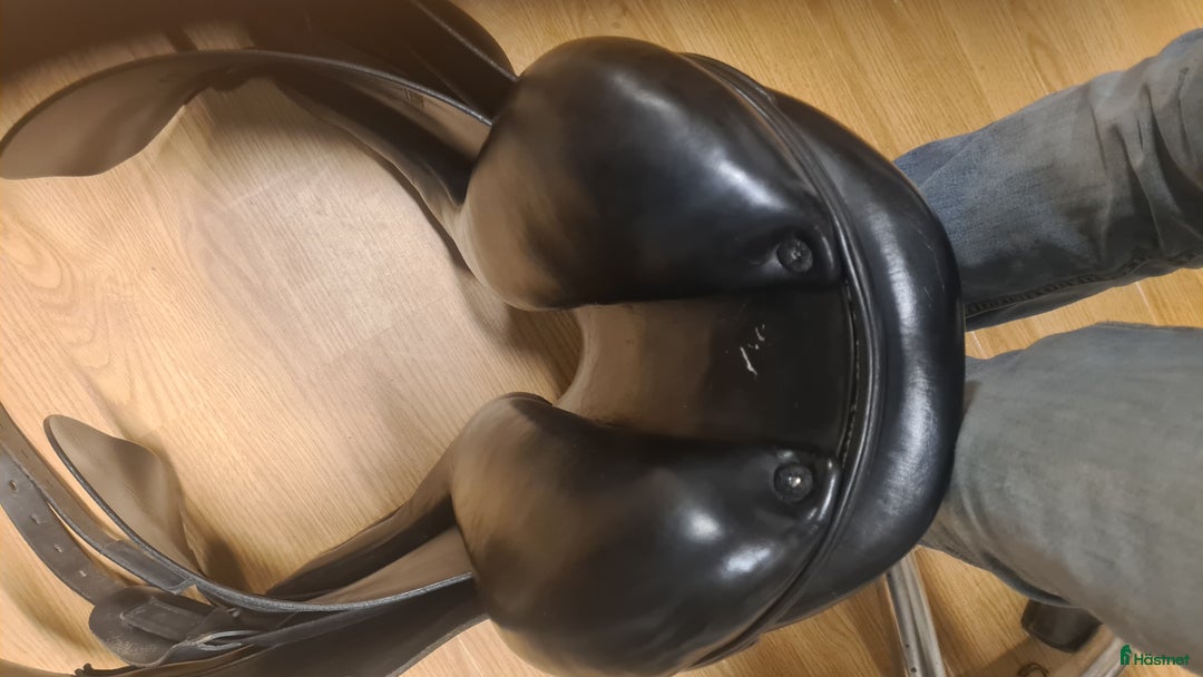 Sadlar hästutrustning till salu: Amerigo Vega Island i Hamneda - Annons 8