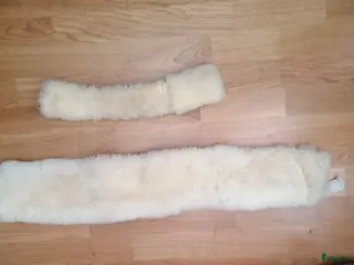 Övrig Hästutrustning hästutrustning Nackremsludd i fårskinn i Västra Frölunda - Annons 13