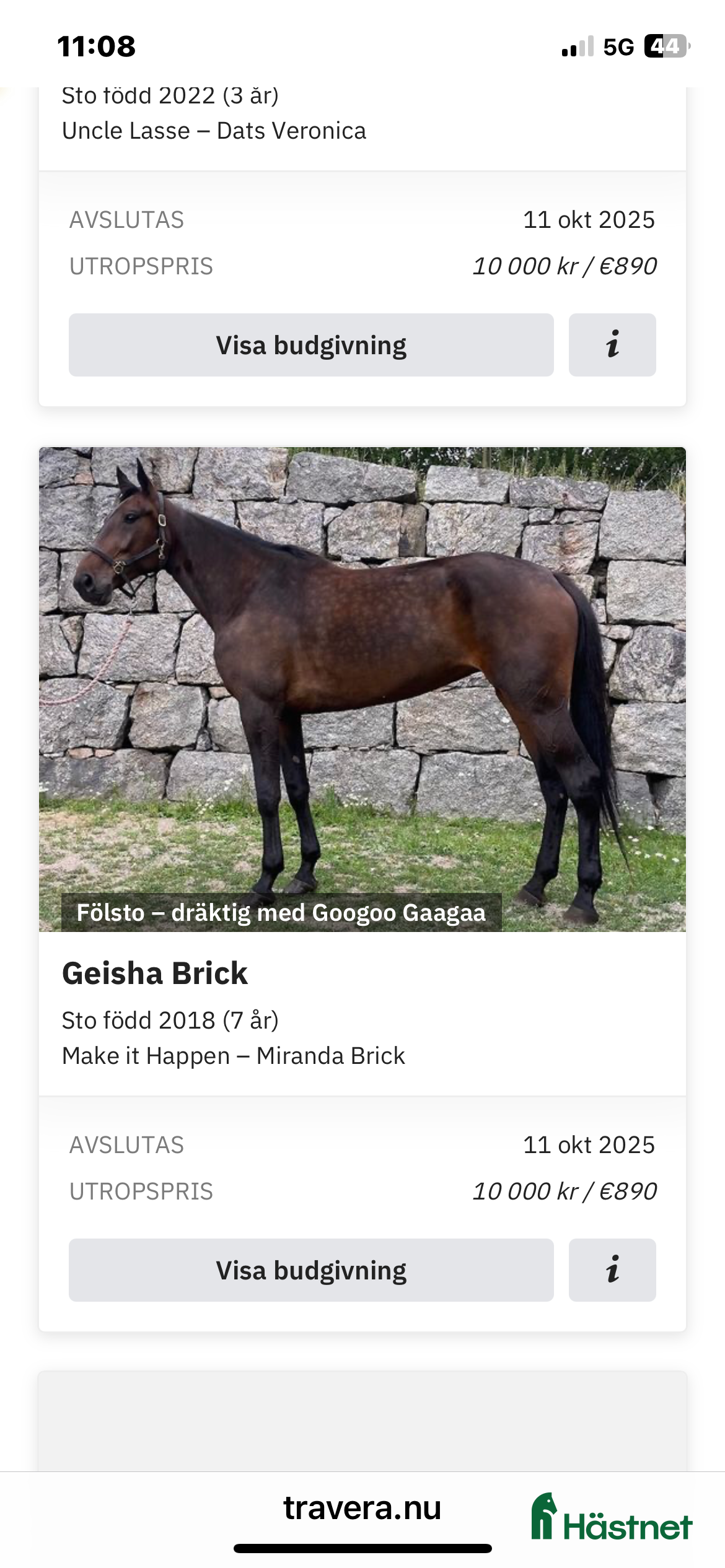  hästar Dräktigt fölsto Nytt pris i Rävlanda - Annons 17