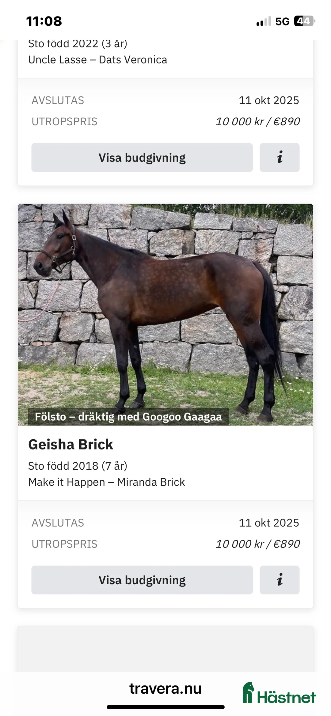 Trav hästar till salu: Dräktigt fölsto Nytt pris i Rävlanda - Annons 1