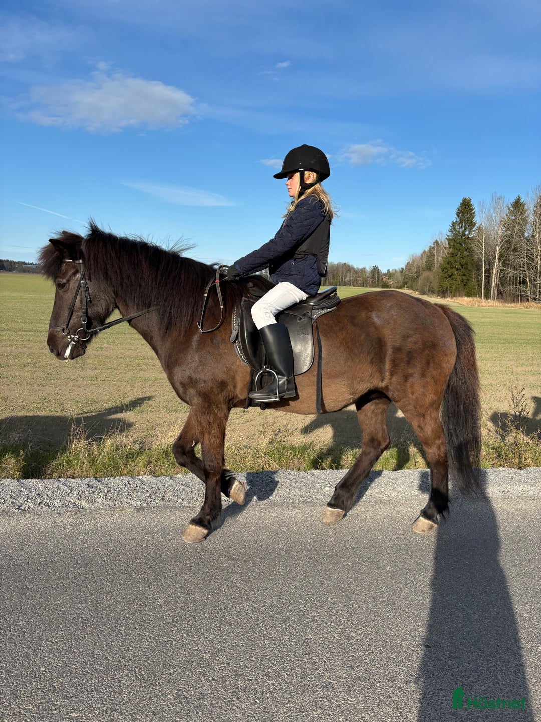  medryttarhäst sökes: Ponny sökes för 10åring i Bagarmossen - Annons 1